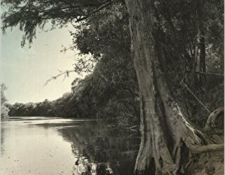 Janisse Ray’s Drifting into Darien: A Personal And Natural History of the Altamaha River