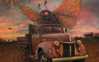 Widespread Panic: Dirty Side Down