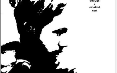 Rich Robinson: Through A Crooked Sun