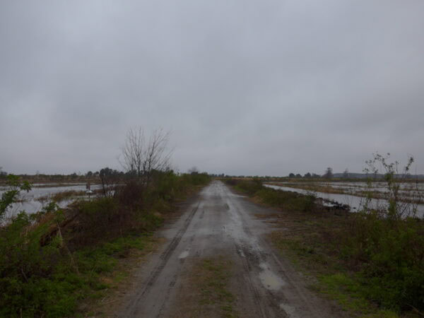 The Road to Hell