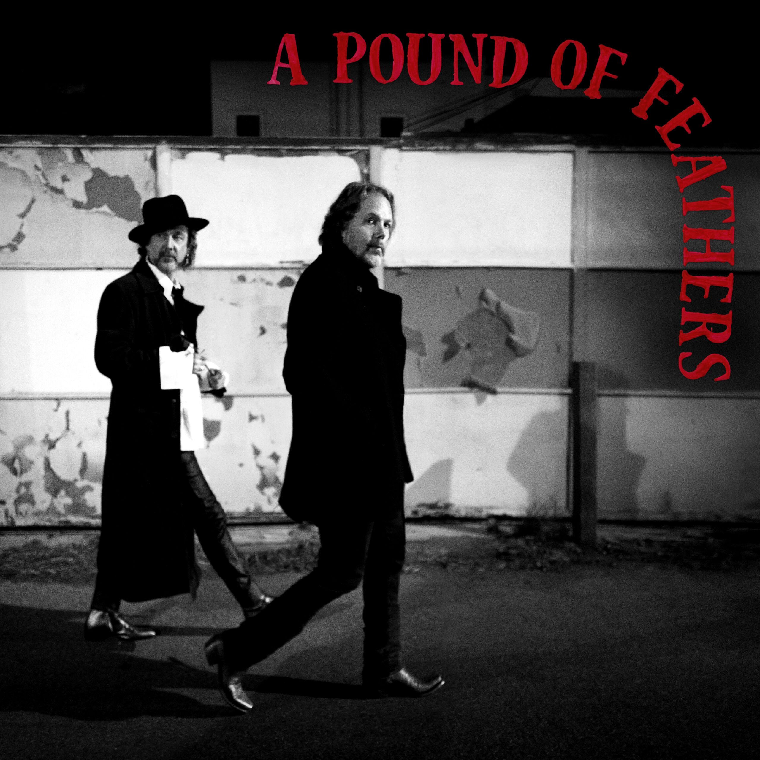 The Black Crowes: A Pound of Feathers - James Calemine